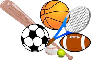 Lifetime Sports 